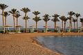 egypt (7)